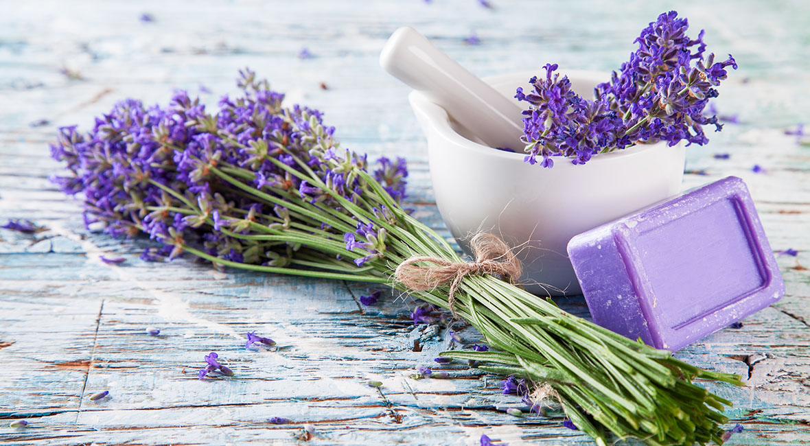 Test of a fresh new lavender soap treatment