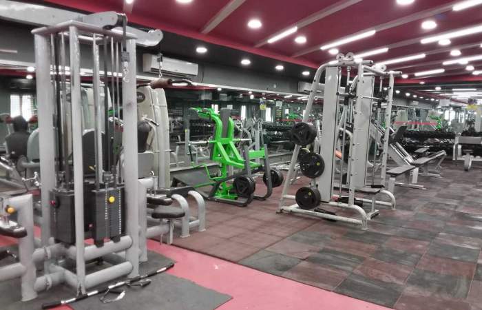 Pulse8 Elite Gym services